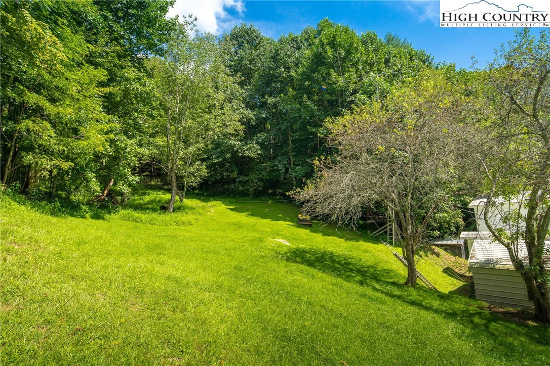 Image number 2 for the current listing