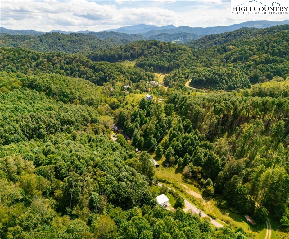 Image number 1 for the current listing
