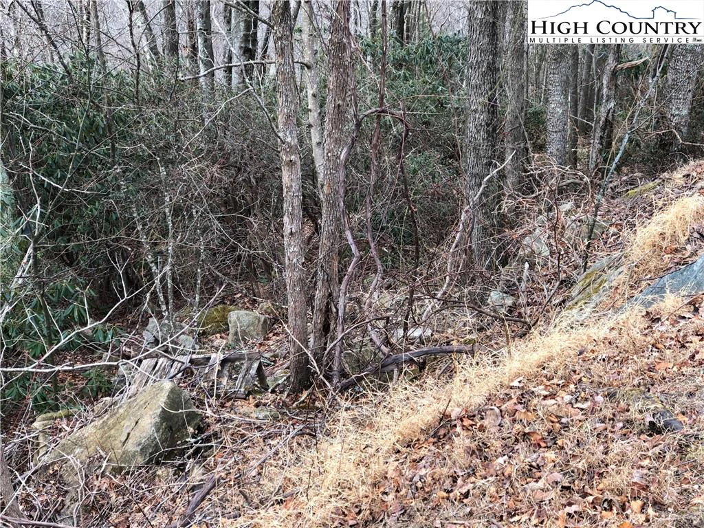 Image number 11 for the current listing