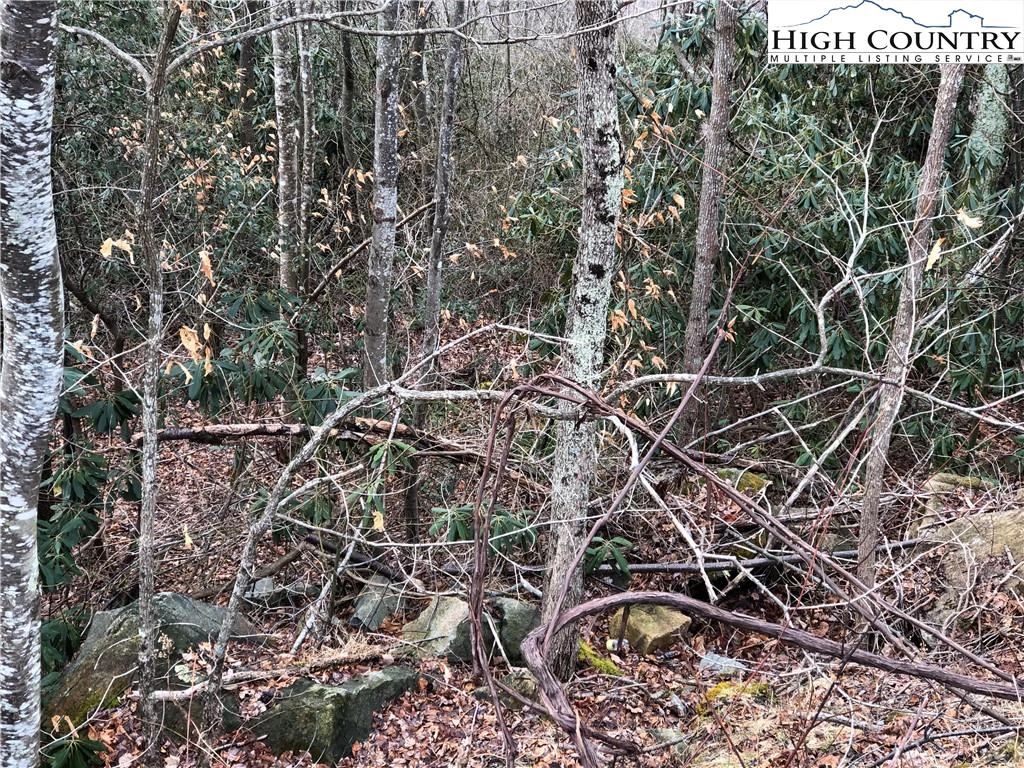 Image number 12 for the current listing