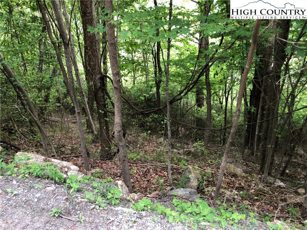 Image number 4 for the current listing