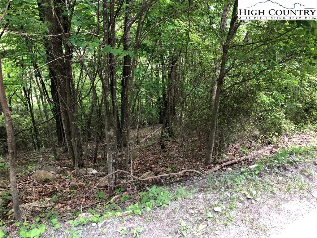 Image number 5 for the current listing