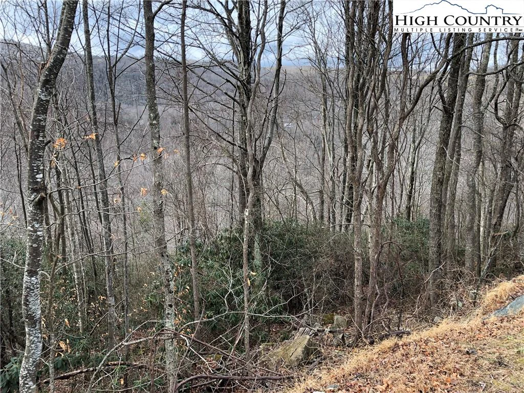Image number 6 for the current listing