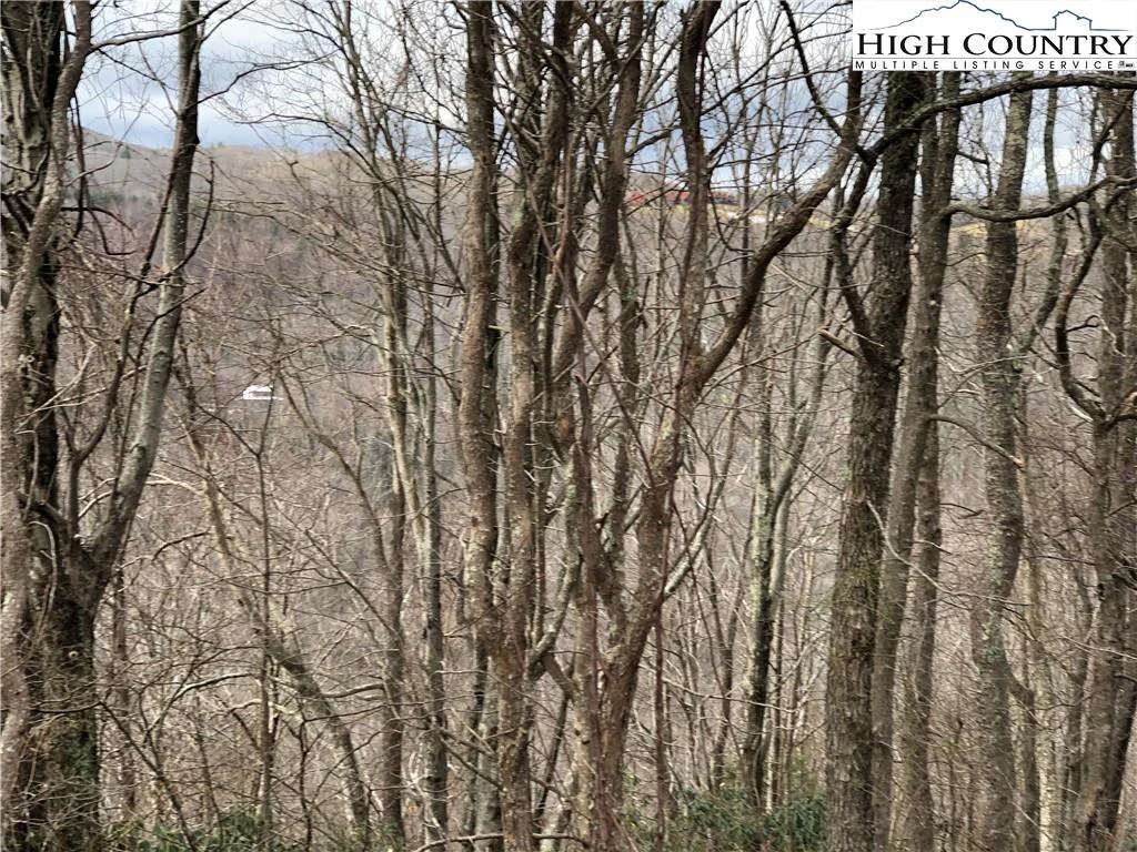 Image number 9 for the current listing
