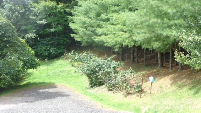Image number 11 for the current listing