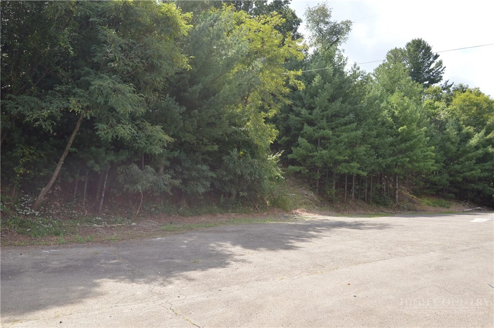 Image number 4 for the current listing