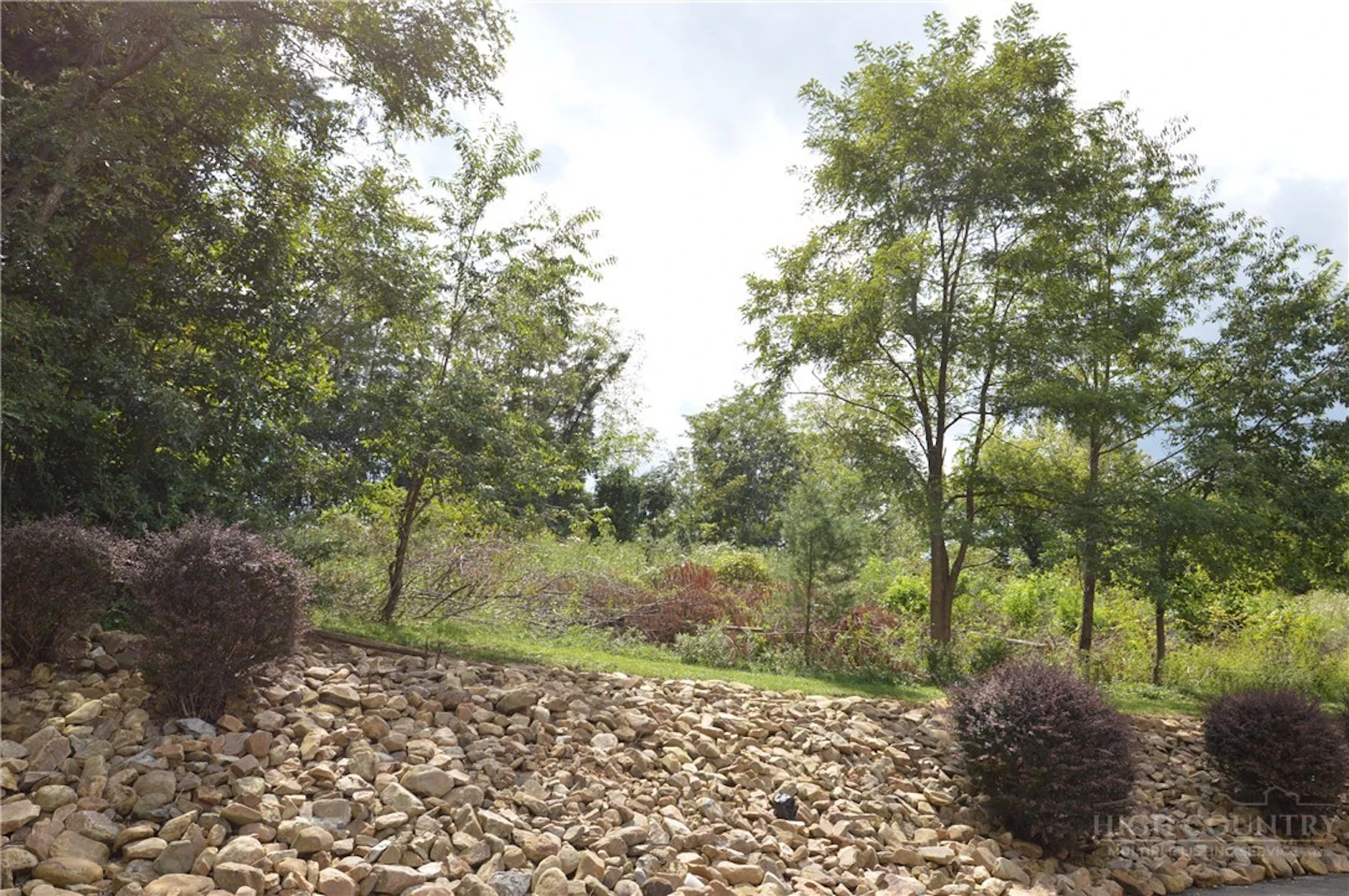 Image number 8 for the current listing