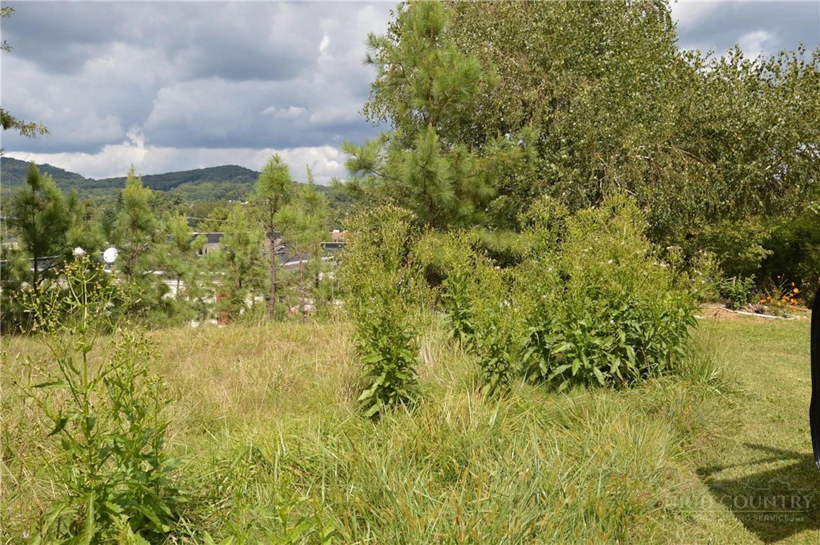 Image number 15 for the current listing