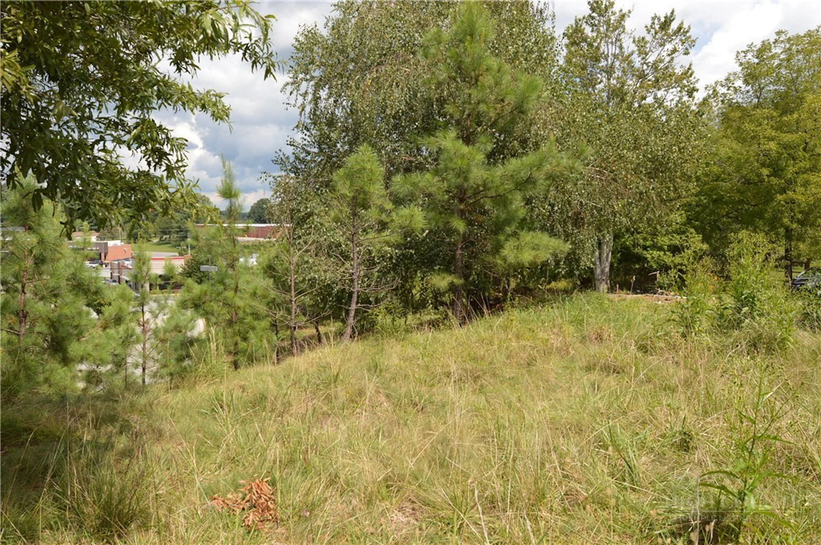 Image number 16 for the current listing