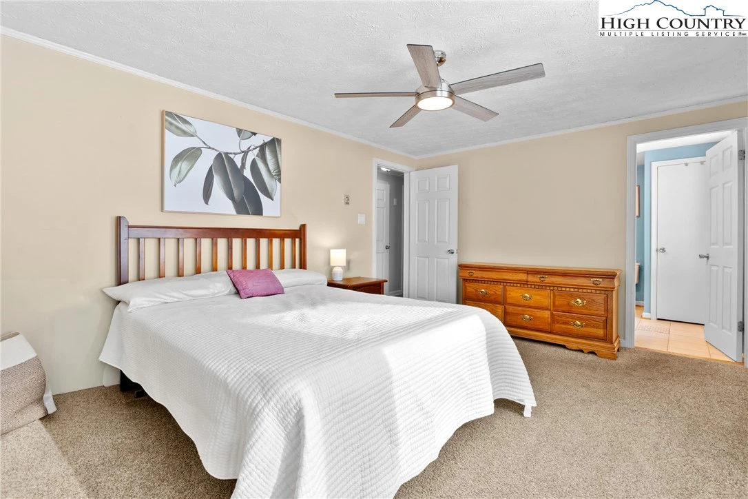 Image number 12 for the current listing