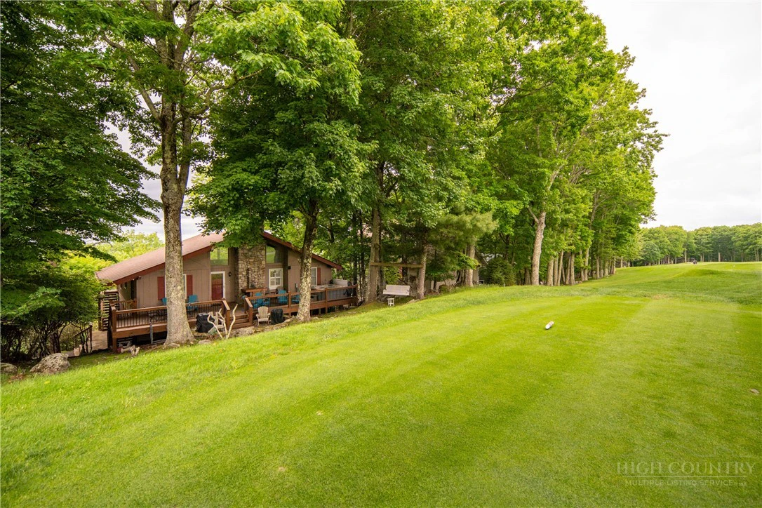 Image number 2 for the current listing