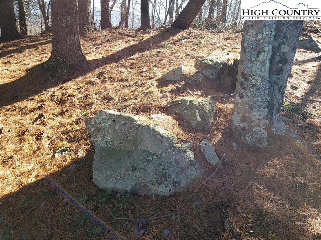 Image number 5 for the current listing