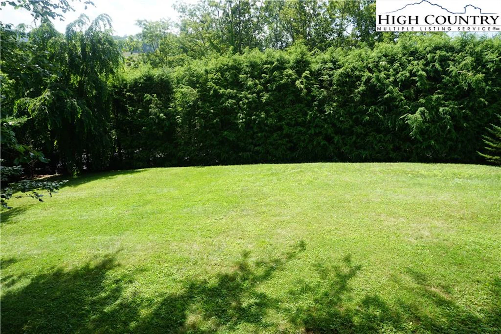 Image number 4 for the current listing