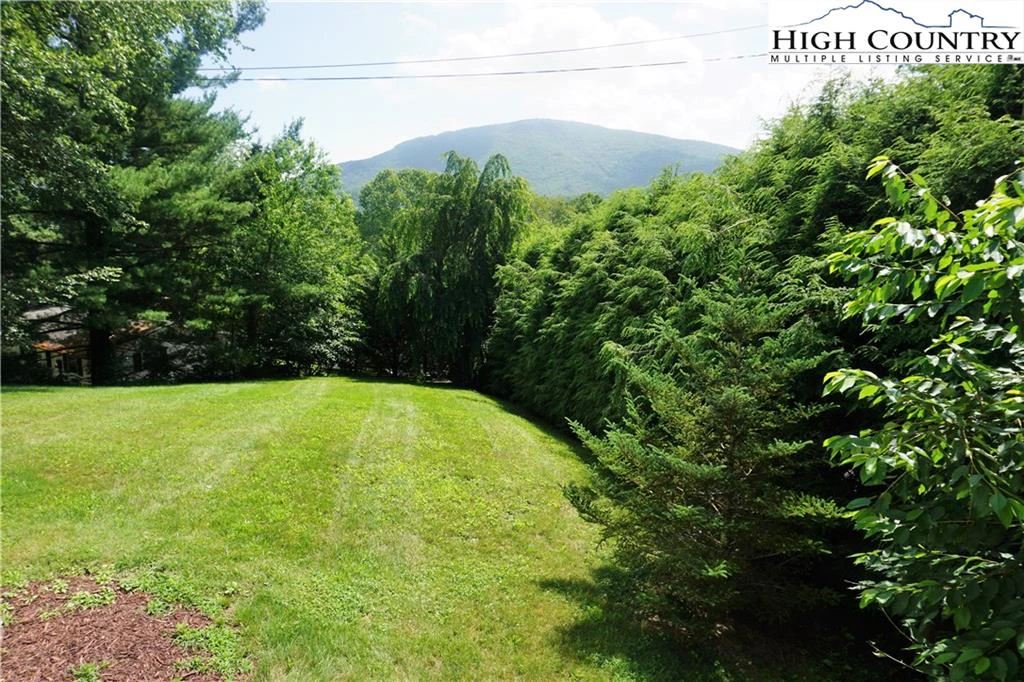 Image number 3 for the current listing
