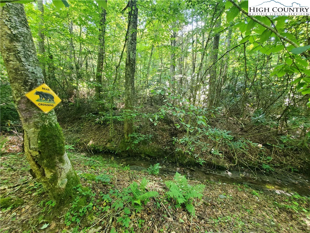 Image number 2 for the current listing