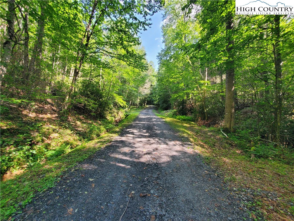 Image number 15 for the current listing