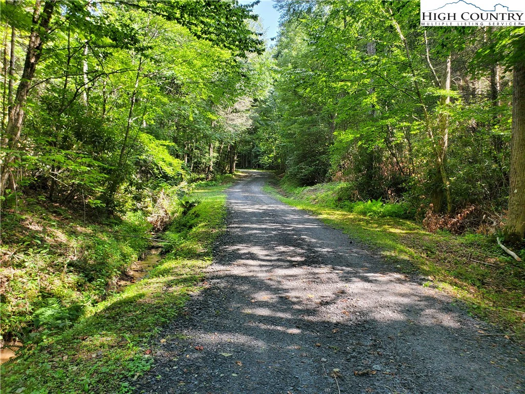 Image number 19 for the current listing