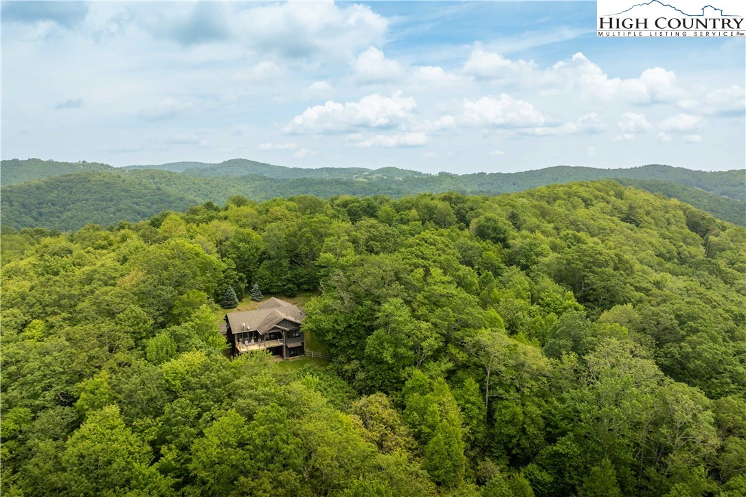 Image number 16 for the current listing
