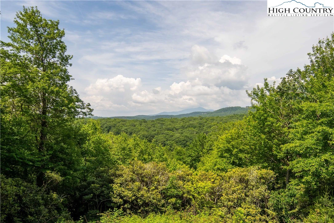 Image number 18 for the current listing