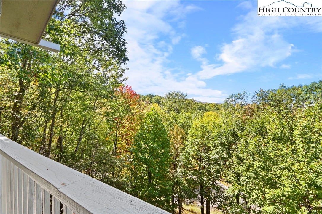 Image number 4 for the current listing