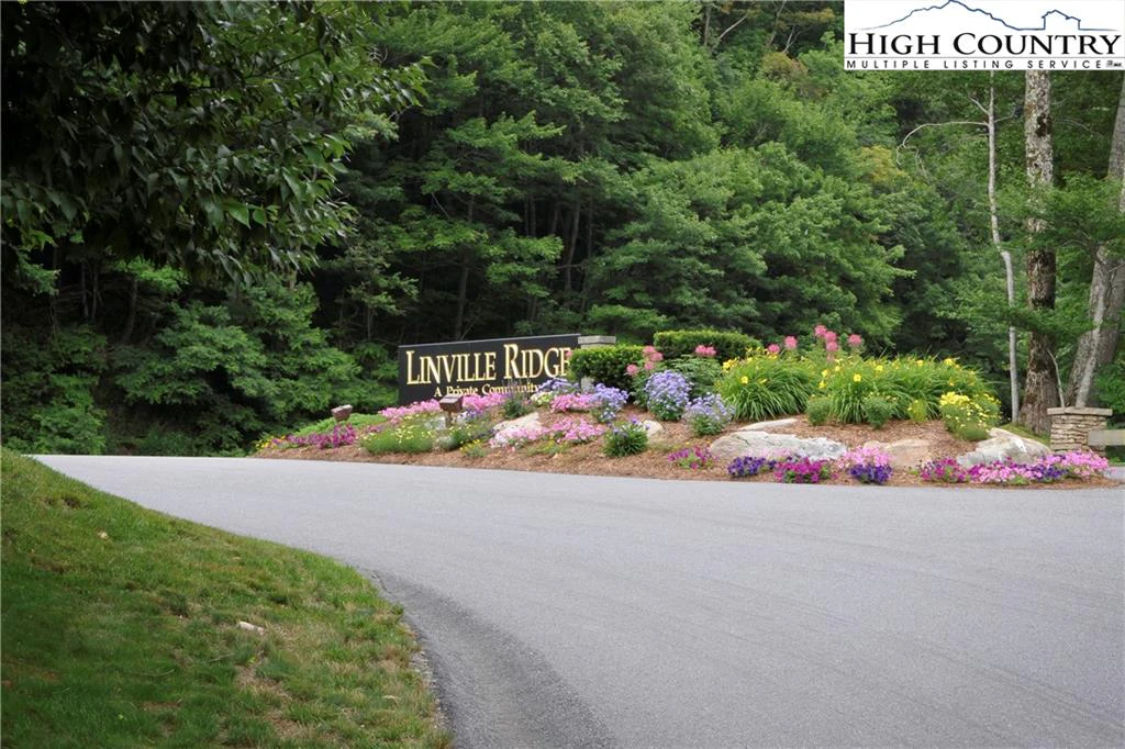 Image number 1 for the current listing