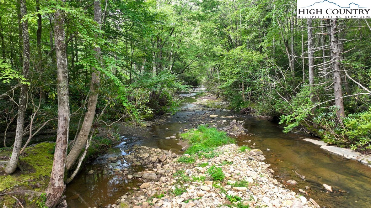 Image number 11 for the current listing