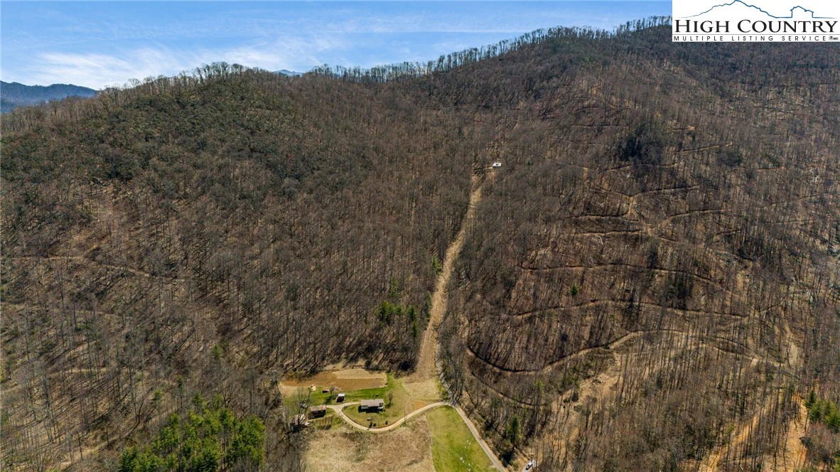 Image number 1 for the current listing