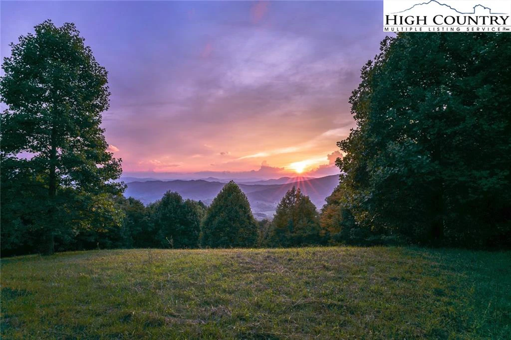 Image number 16 for the current listing