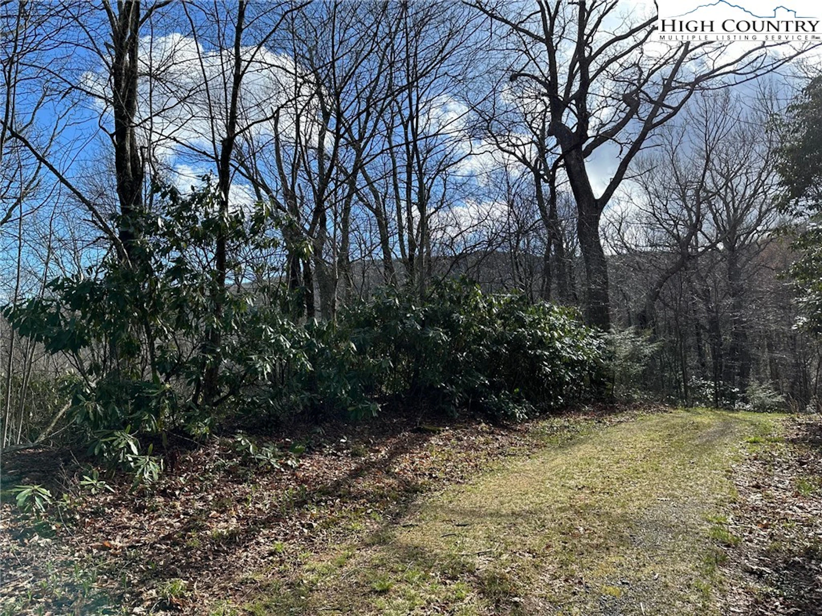 Image number 6 for the current listing