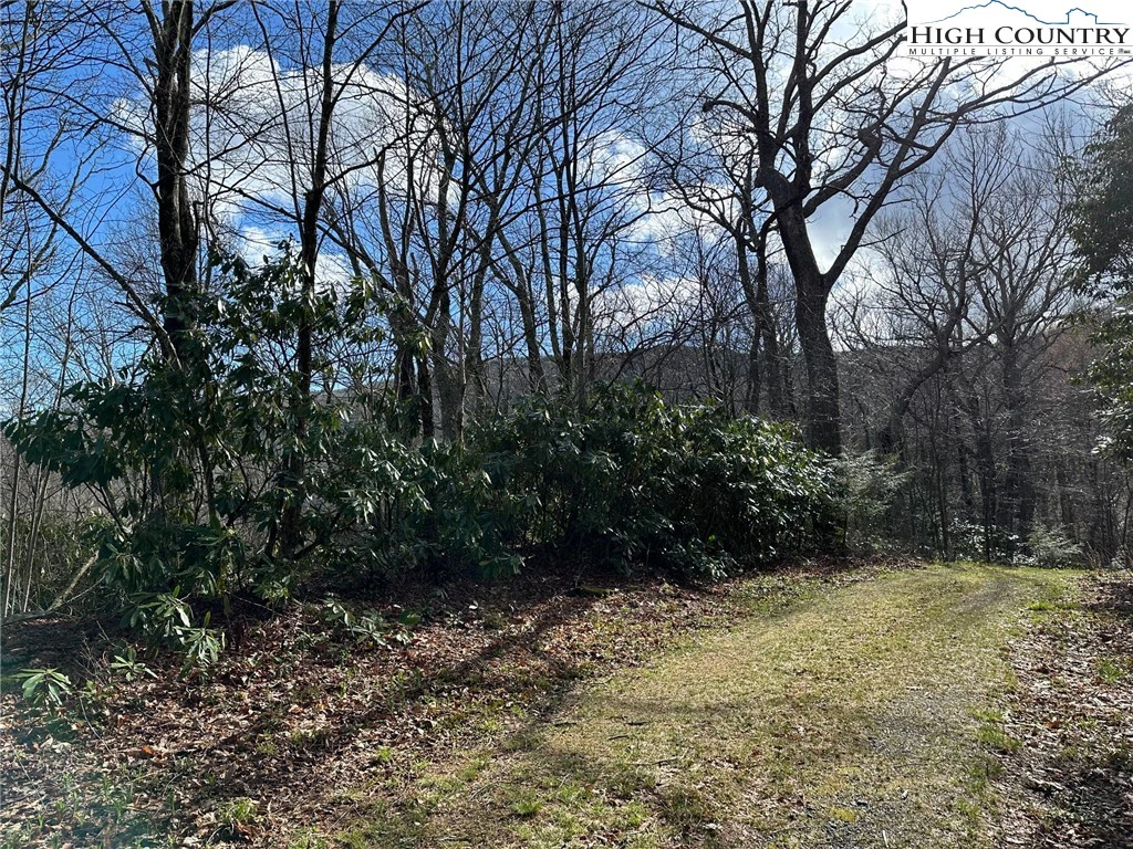 Image number 6 for the current listing