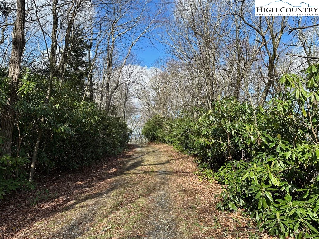 Image number 7 for the current listing