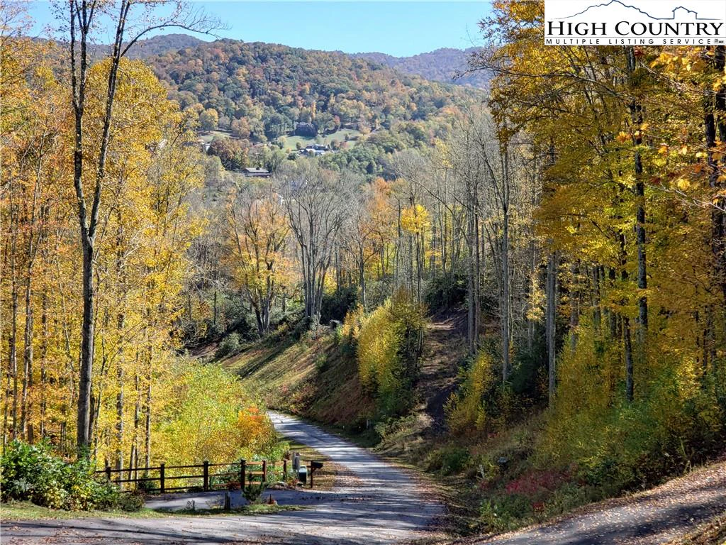 Image number 16 for the current listing