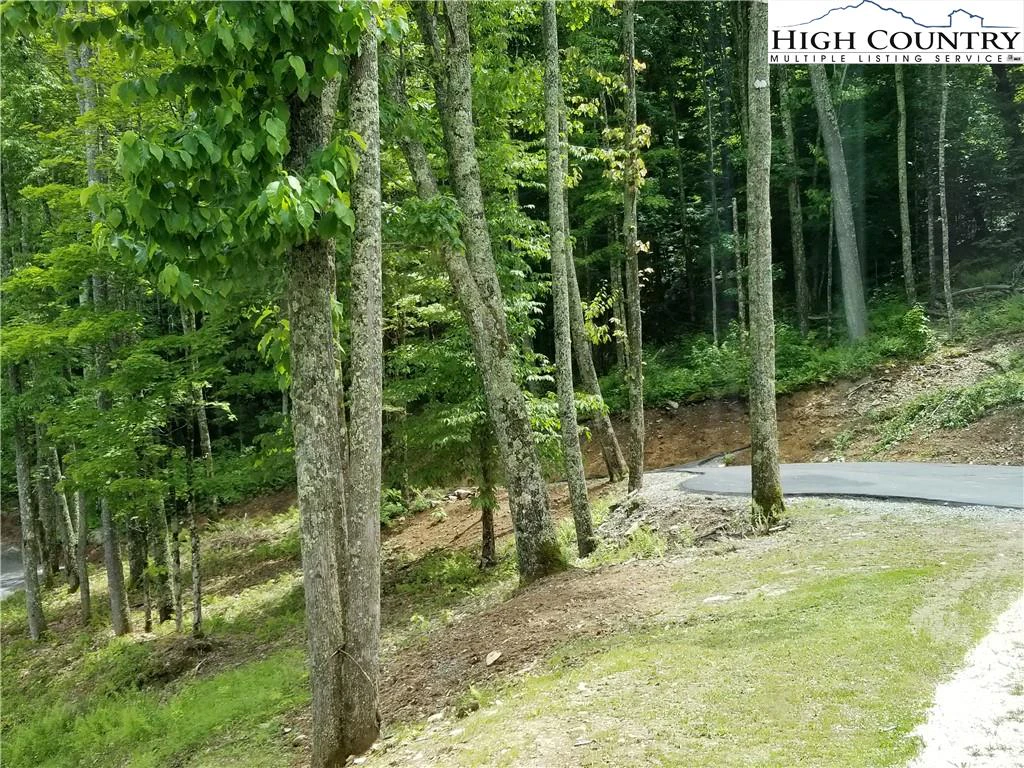 Image number 18 for the current listing