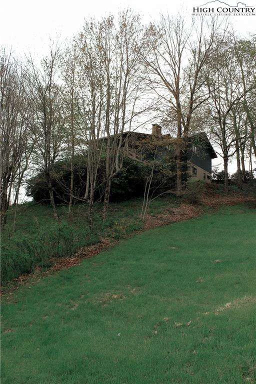 Image number 2 for the current listing