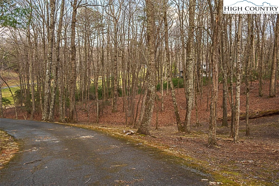 Image number 21 for the current listing