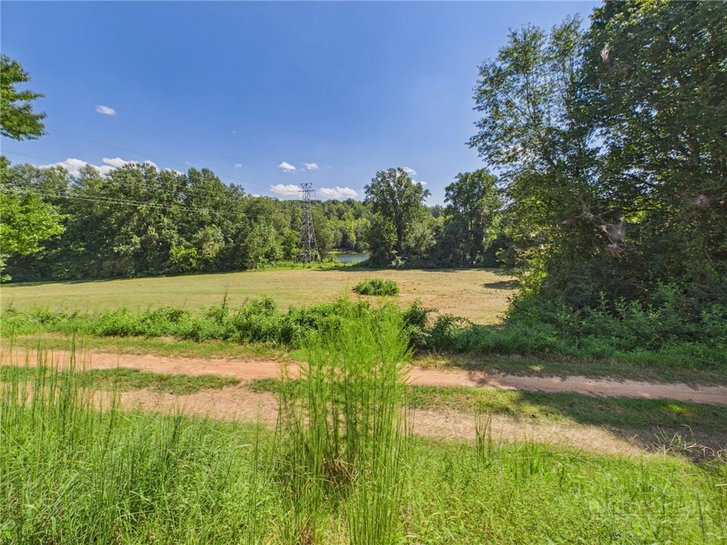 Image number 4 for the current listing