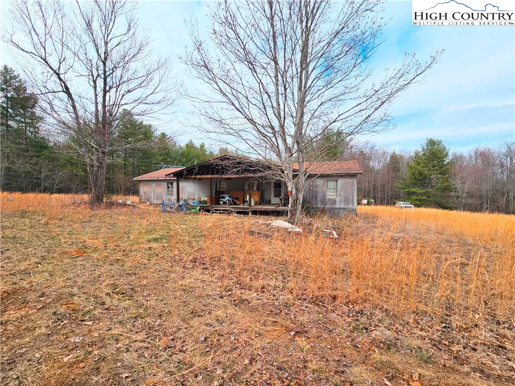 Image number 1 for the current listing