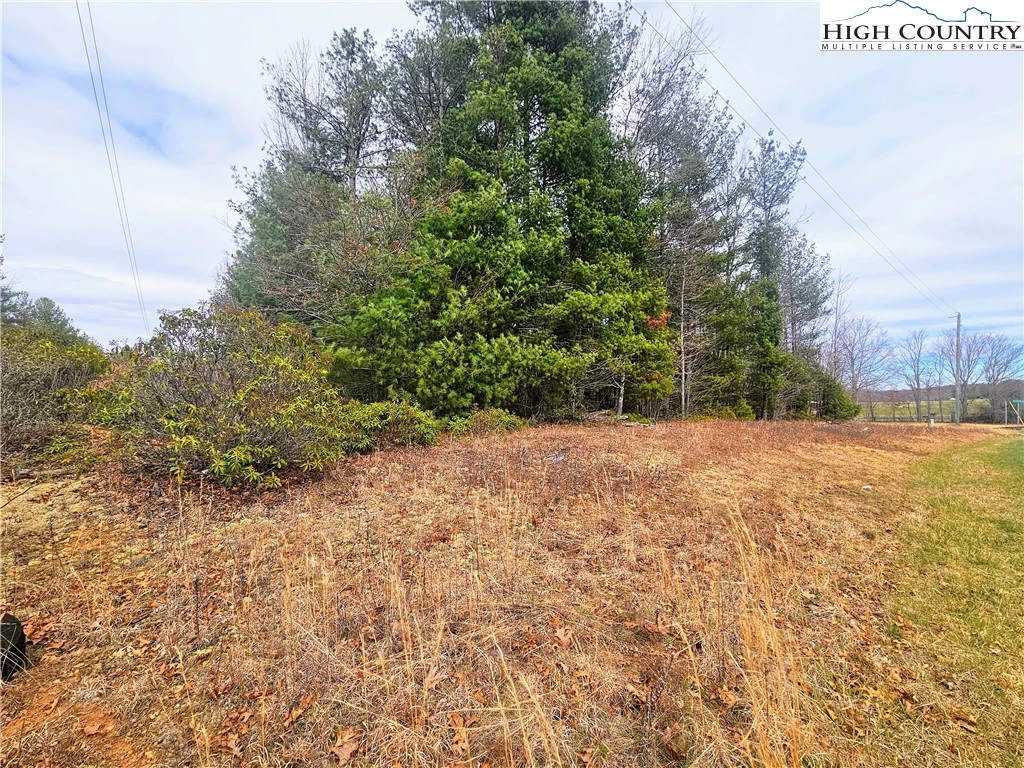 Image number 3 for the current listing