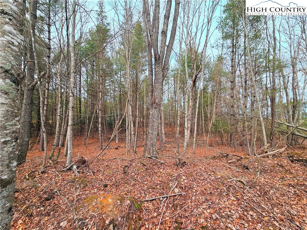 Image number 6 for the current listing