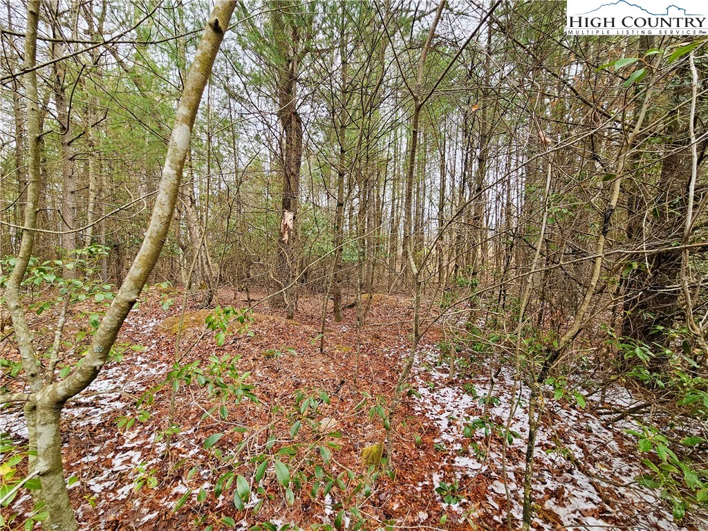 Image number 7 for the current listing