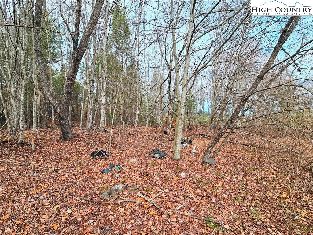 Image number 9 for the current listing