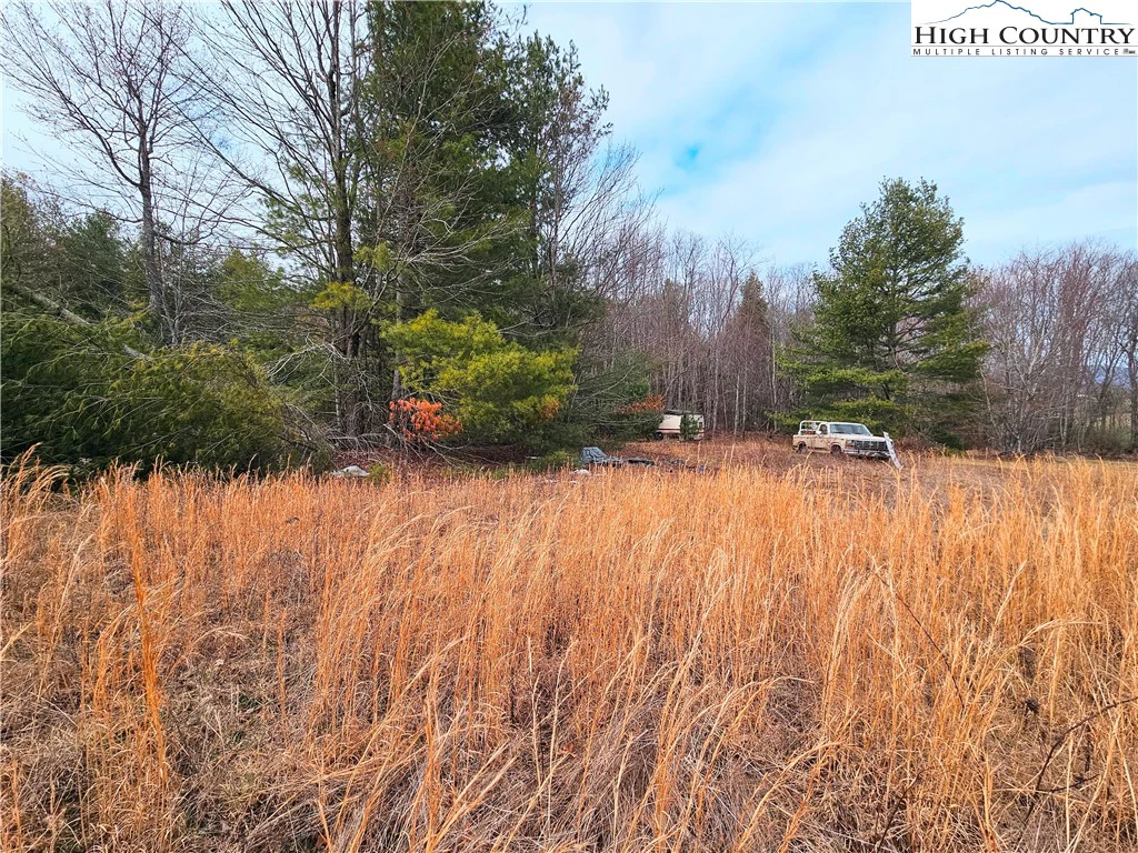 Image number 11 for the current listing