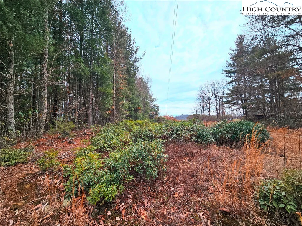 Image number 12 for the current listing