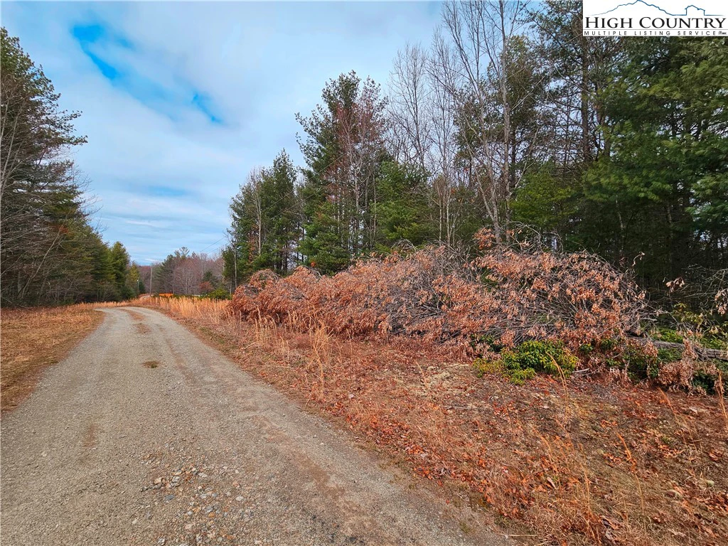 Image number 14 for the current listing