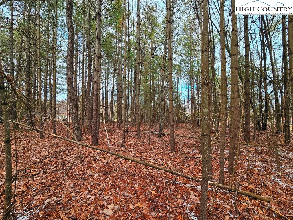 Image number 15 for the current listing