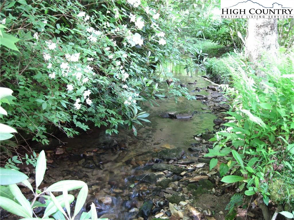 Image number 17 for the current listing