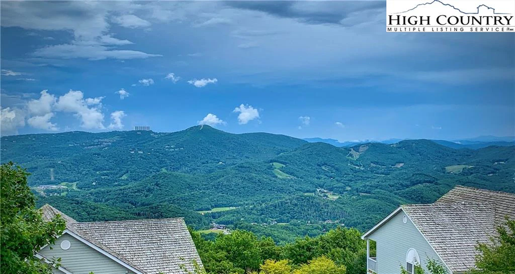Image number 1 for the current listing