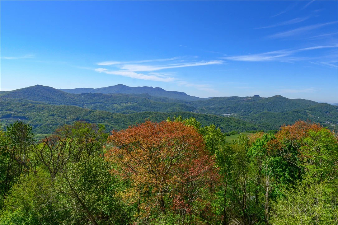 Image number 3 for the current listing