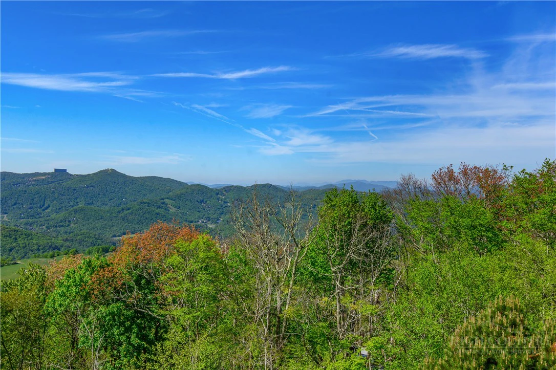 Image number 4 for the current listing
