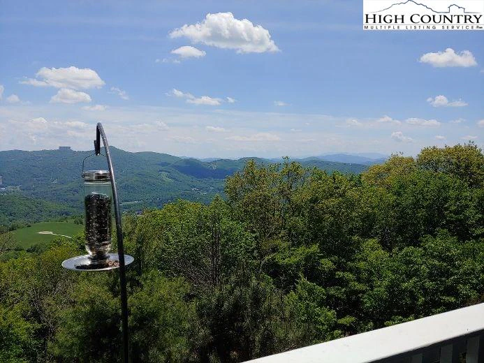 Image number 4 for the current listing